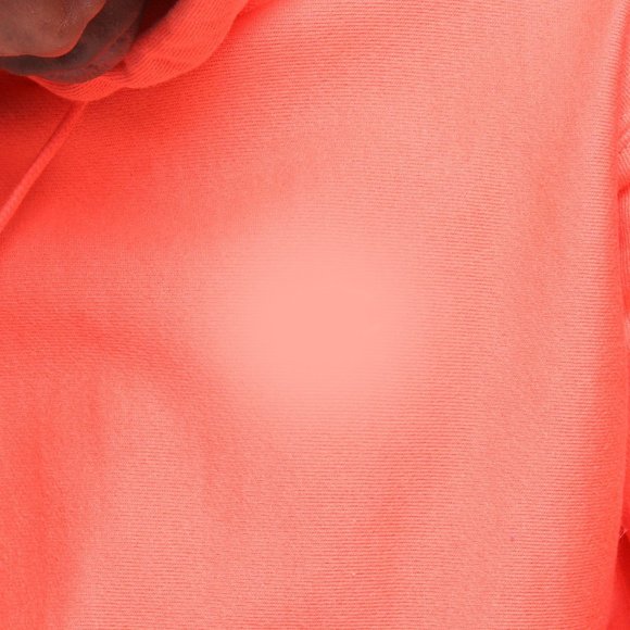 Champion Reverse Weave Fleece Pullover Hoodie Sweatshirt Papaya Peach GF… - Picture 4 of 9